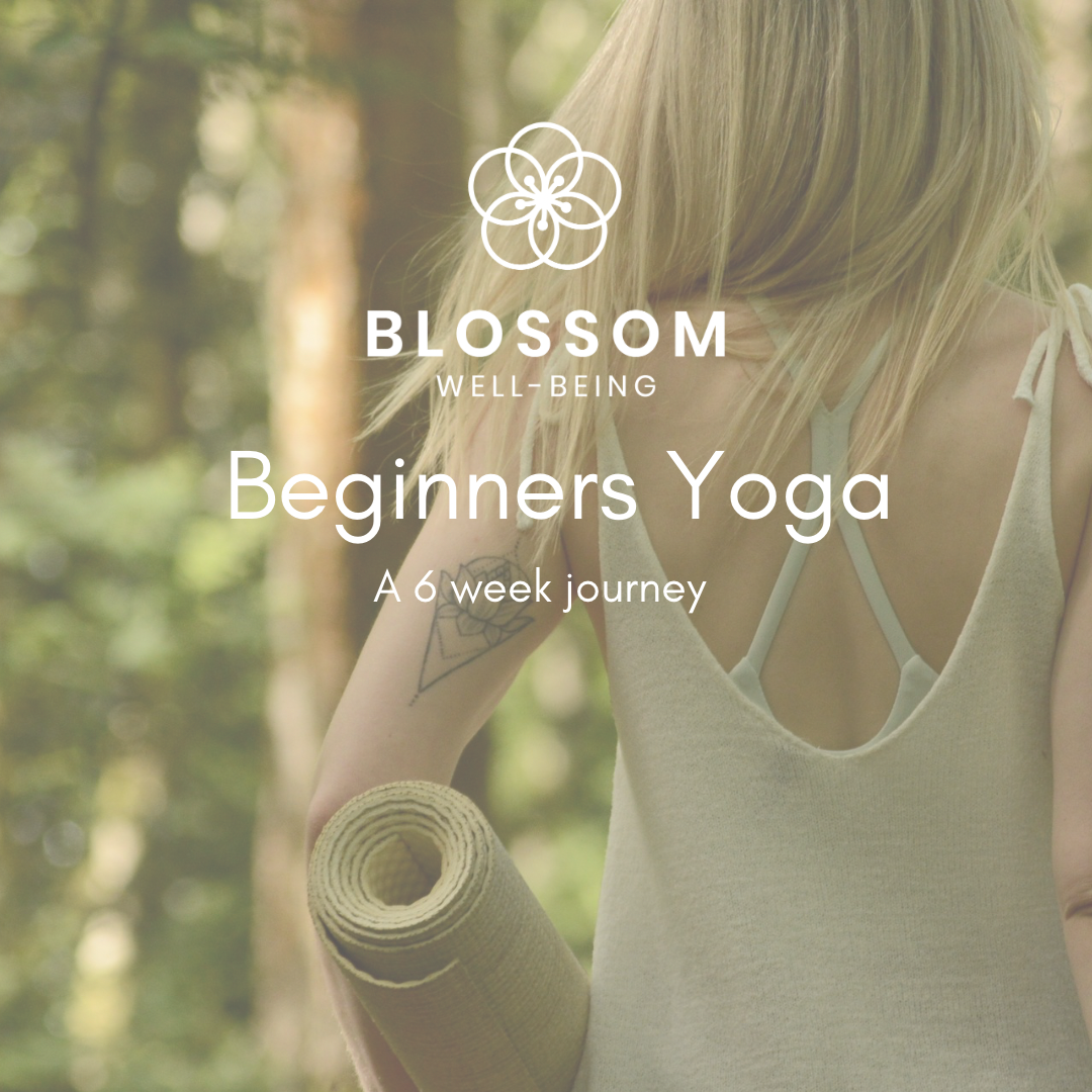 Blossom Wellbeing - Beginner Friendly Yoga